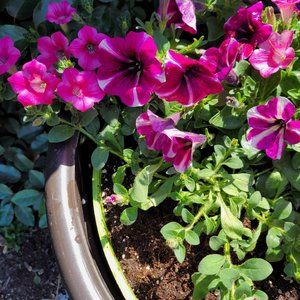 Meet your Posher, Kathleen